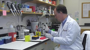 40K views · 2.3K reactions | At a press conference yesterday, Harvard's William Kaelin, one of three winners of the 2019 Nobel Prize in physiology or medicine, discussed his work and the excitement of the prize. | Harvard University | Facebook