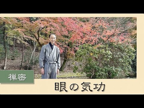 【５分で気功】禅密・眼の気功 〜視力回復に。眼の自発的な動きを引き出し、自由で澄み渡った視界と心へ。 *「かんたん・目の気功」に続けて行います。