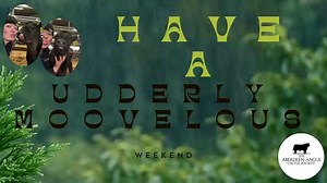 Aberdeen-Angus Cattle Society on Reels | Facebook