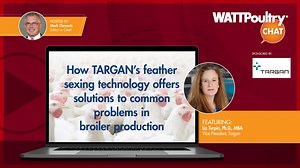 How TARGAN’s feather sexing technology offers solutions to common problems in broiler production