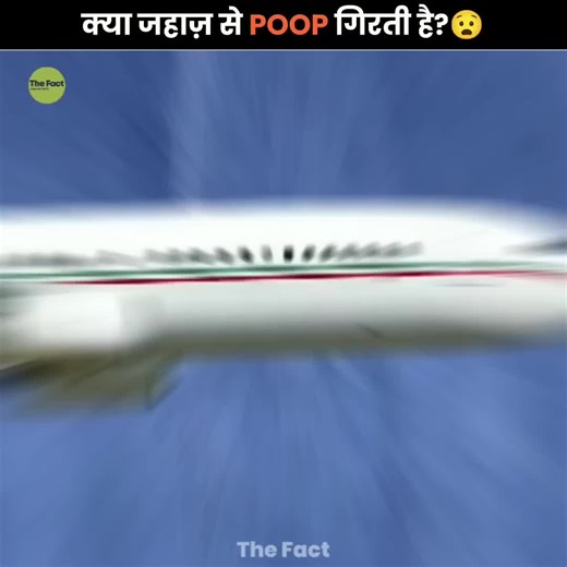 Frozen Toilet Falling From Sky_ 💩