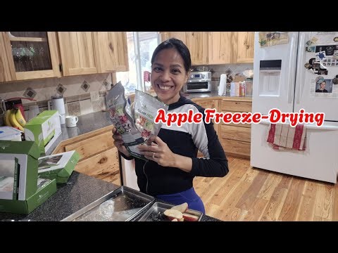 Apple Freeze‑Drying: Our First Crunchy Experiment