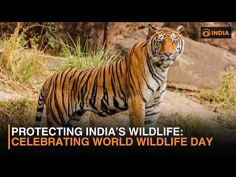 World Wildlife Day 2026: India Strengthens Conservation Efforts