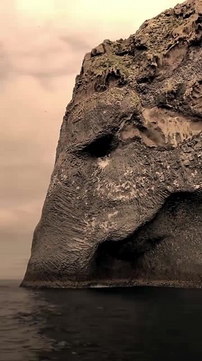 Exploring Zunesha: The World's Largest Elephant