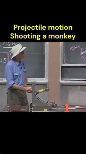 Projectile motion and free fall motion