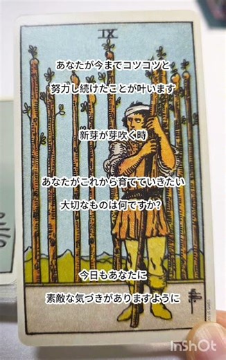 偶然この動画を見つけてくれた皆さまへ ⁡⁡⁡⁡春の芽吹きの時期 #今日の占い #龍神 #タロットカード #オラクルカード