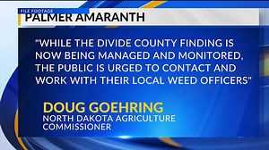Ag & Energy: Palmer Amaranth