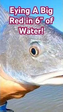 Sabine Pass Site Fishing #kayakfishing #texas