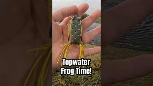 This Catch Left Me Speechless – No One Will Believe It!