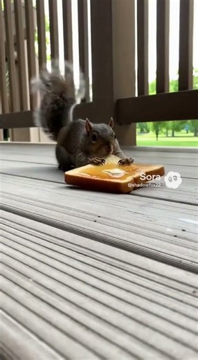 Squirrels eat butter toast #squirrel #ai #aishorts #sora #soraai #shorts #fyp #butterbread #toast