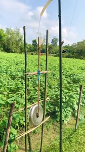 Nice hack for farmers | The Nature