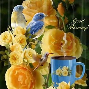 Good Morning on Reels