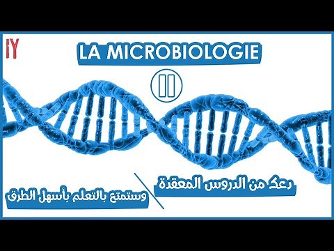 Episode 2: Microbiologie (les virus, les bactéries, les champignons, Les Parasites )