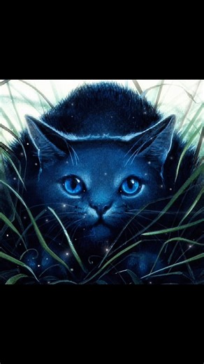 guess the warrior cat (except its obvious) ⊹ ࣪ ˖‧₊˚. #warriorcats #warriorcatsedit #bluestar