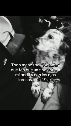 Videos de ¿L? (@lean.offx) con “sonido original - ᴅɪᴛʜʟʏʀɪᴄꜱ🪐”