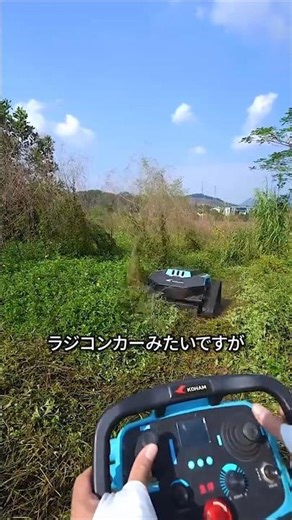 I tried mowing the lawn with a remote-controlled car.