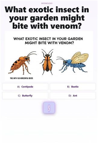 Venomous Garden Insects Quiz: Can You Identify Them? | Riddle