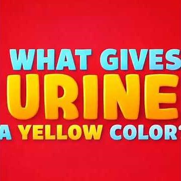 The Golden Secret | Why is Pee Yellow? #biobeatstune #biology #facts