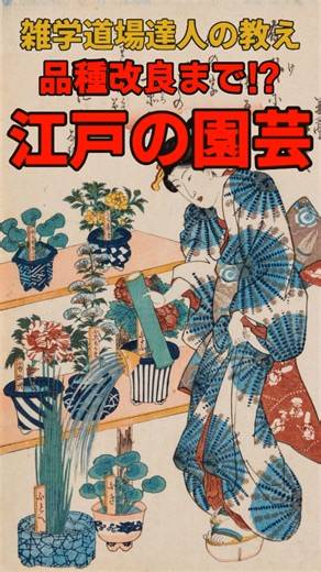 雑学道場 達人の教え on Instagram: "庶民にも流行してた⁉江戸時代の園芸ブームに関する雑学 #shorts #雑学 #雑学道場 使用ツール---------------- VOICEVOX:青山龍星 Canva 画像引用-------------------wikimedia等々 https://dl.ndl.go.jp/ https://opac.kokugakuin.ac.jp/library/lime/kasugagongen5-1476/pages/kasugagongen5-1476.html https://www.edomono.jp/blog/2017/08/24/品種の多さは世界随一！江戸っ子が生んだ朝顔/ ttps://auctions.yahoo.co.jp/jp/auction/j1129746660 https://www.tabashio.jp/exhibition/2019/1901jan/index.html https://www.bonsai-art-museum.jp/ja/collection/e-003/ https://www.