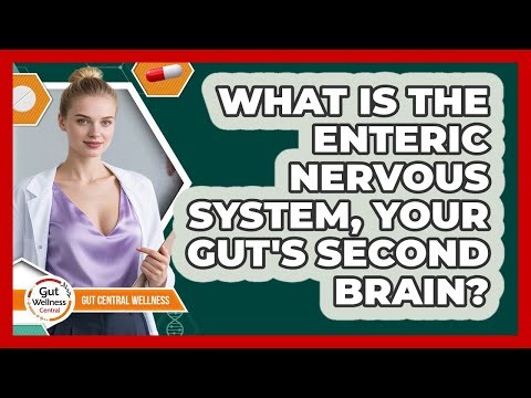 What Is The Enteric Nervous System, Your Gut's Second Brain? - Gut Wellness Central