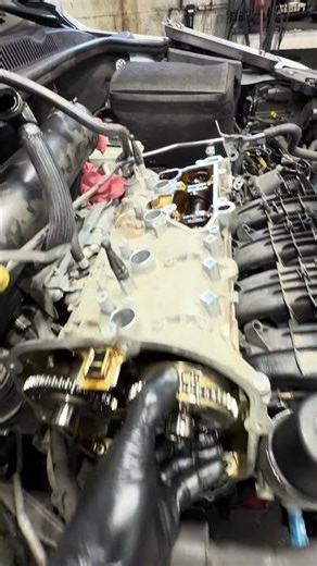 Chain rattle on start up? Here’s the cause! #volkswagen #audi #vvt