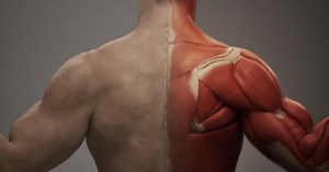 Machine Learning Deformer Sample Project Is Available for Download