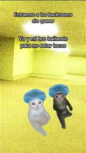 Yo entrando a los backrooms con mi bro