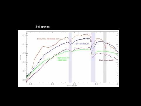 RS2.4 - Optical remote sensing: spectral response