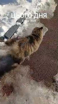 я афігенний