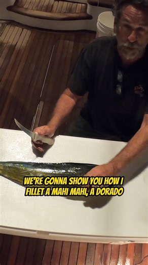 3.8K views · 43 reactions | How to Fillet a Mahi Mahi / Dorado! Join...