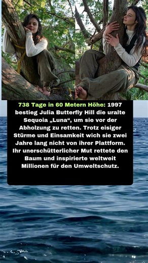 738 Tage im Baum: Ihr Kampf gegen Kettensägen! 🌲💪