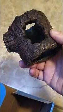 Betta's new floating log house.