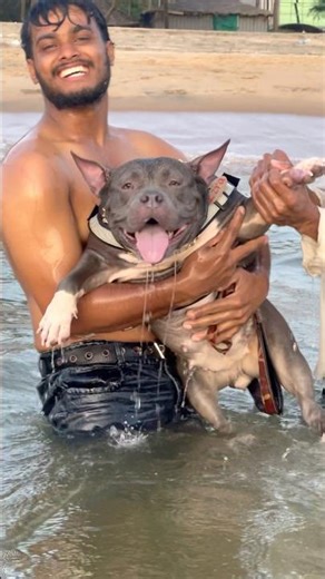 ആഹാ വയറൊക്കെ നിറഞ്ഞാലോ 🤣😍😅 #shorts #dog