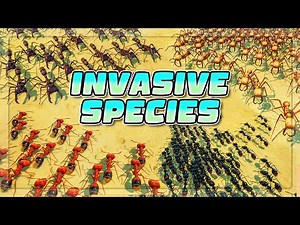 I FORCED ALL INVASIVE ANT SPECIES TO BATTLE in Empires Of The Undergrowth