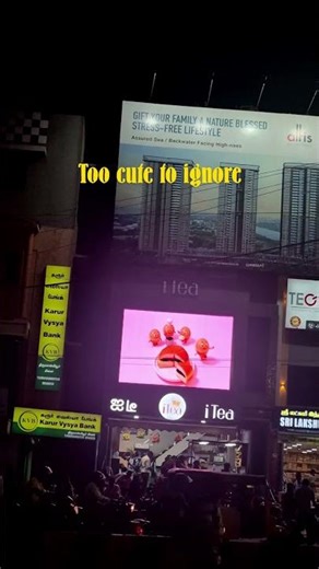 Yeses...Righttt🧸...... #cutevideo #roadside #design #cuteart #advertising