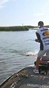 Edwin Evers buzzbait bite on Saginaw