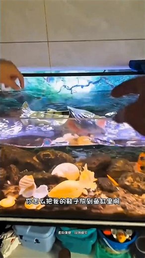 My Slipper Went From Pool to Frying Pan #CrazyPrank #SlipperPrank