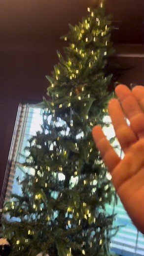 641K views · 37K reactions | The much anticipated tree reveal | Meme Krunchymuffin | Facebook