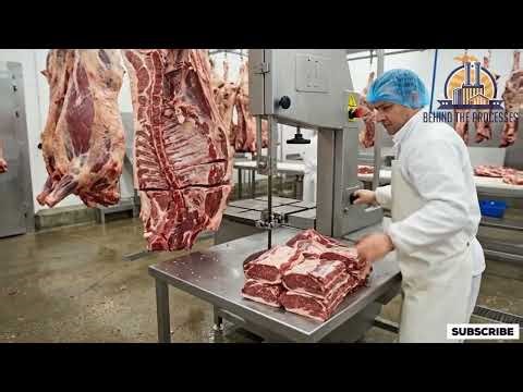Beef Production Process – Shocking Reality Inside Factories