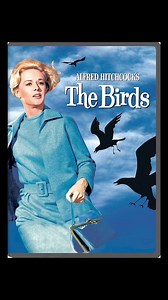 Birds aren’t scary. But you know what are? Bird die-offs caused by lights and windows. An estimated one billion bird deaths occur annually in the United States from collisions with buildings and structures – now that’s scary. Check out our Real Scary Movies and find out what really scares us: https://dfnd.us/4dspA9E | Defenders of Wildlife