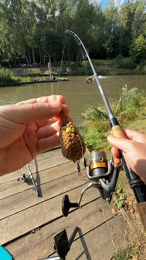 345K views · 1.7K reactions | Fail tips #fish #fishinglife #foyoupage #fyp | Ashton Mueller | Facebook