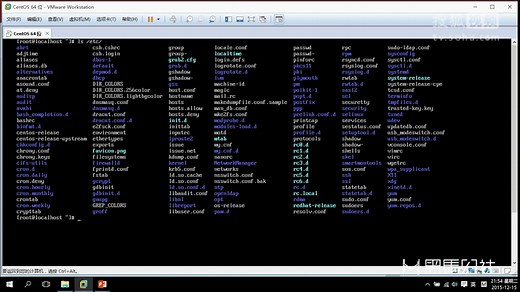玩转Linux4-命令格式与目录处理命令ls