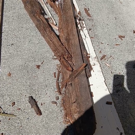 Trex decking. Removing screws from Trex a quicker way than a screwdriver. Philips head.