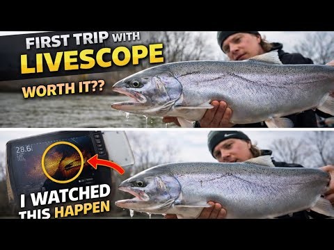 Spring Steelhead fishing with Livescope