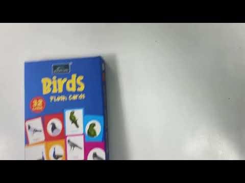 Animals & Birds Flash Cards for Kids | Learn Names & Sounds | Preschool Learning Combo