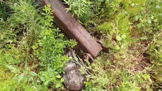 Reviving OLD KNUCKLEBOOM LOADER! Will It Start and Move Logs