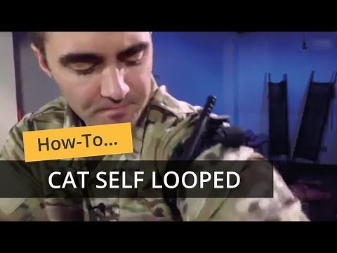 CAT Self-Application (Looped)