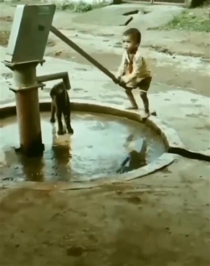 70K views · 1.9K reactions | Pure love  | My India | Facebook