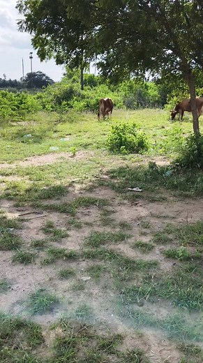 Kc Kumaresan on Reels