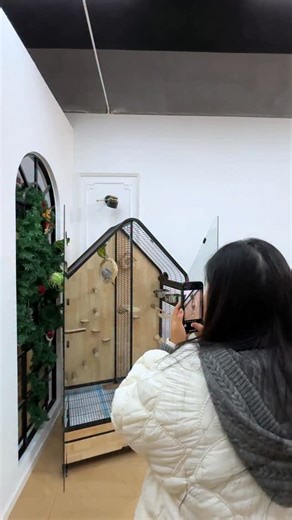 Elisha on Instagram: "My bird’s fancy penthouse just dropped 🔥 Who said birdcages have to be boring? This sleek, colorful cage is my parrot’s favorite spot in the house—he’s either showing off his acrobatics on the ladder, stealing treats from the toy box, or yelling “hello” at anyone who walks by. Pro tip: Add a few hanging toys and a fresh fruit bowl, and you’ve got a 5-star bird resort 🤩 Tag a bird lover who needs to see this! 👇 #BirdLoversClub #PetPenthouse #CuteBirdAlert #PetLifeDaily #B